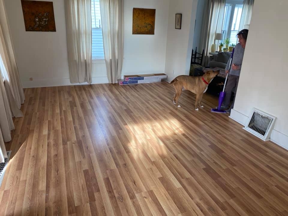 dog smiling at woman about to mop her hardwood floors